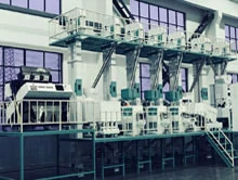 80 tpd complete rice mill processing unit
